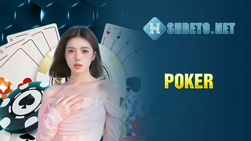 Khám phá The Tweety House – Điểm đến giải trí trực tuyến hàng đầu năm 2024