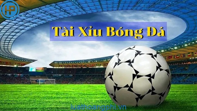 Khám phá tin tức thể thao 24h vn mới nhất và cập nhật liên tục tại thể thao 24h vn