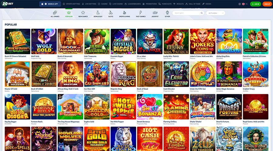 Khám phá trải nghiệm thú vị tại Wild Disco Night cùng bạn bè