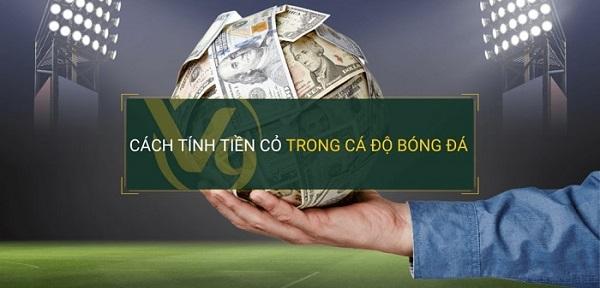 Khám phá bộ sưu tập lienquan code mới nhất cho game thủ 2024